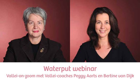 Lees meer over het artikel Webinar Q&A Vallei vrouwen Waterput-webinar