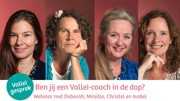 Lees meer over het artikel Webinar Ben jij een Vallei-coach in de dop?